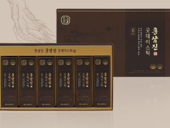 (간편한 활력 충전)홍삼진 굿데이스틱 10mlx60포 1EA